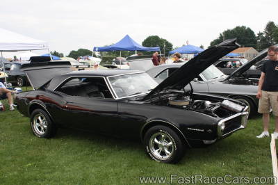 FIREBIRD
